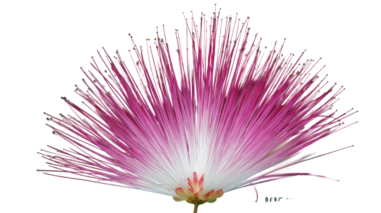 Vaagai Background
